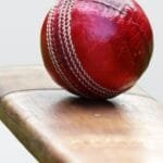 bat-removebg-preview